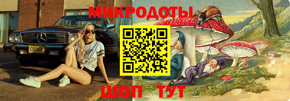 Артёмовский  Псилоцибиновые грибы Magic Shrooms  Вход с VPN 