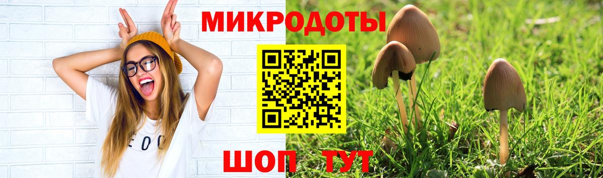 Псилоцибиновые грибы мицелий  хочу   Артёмовский 